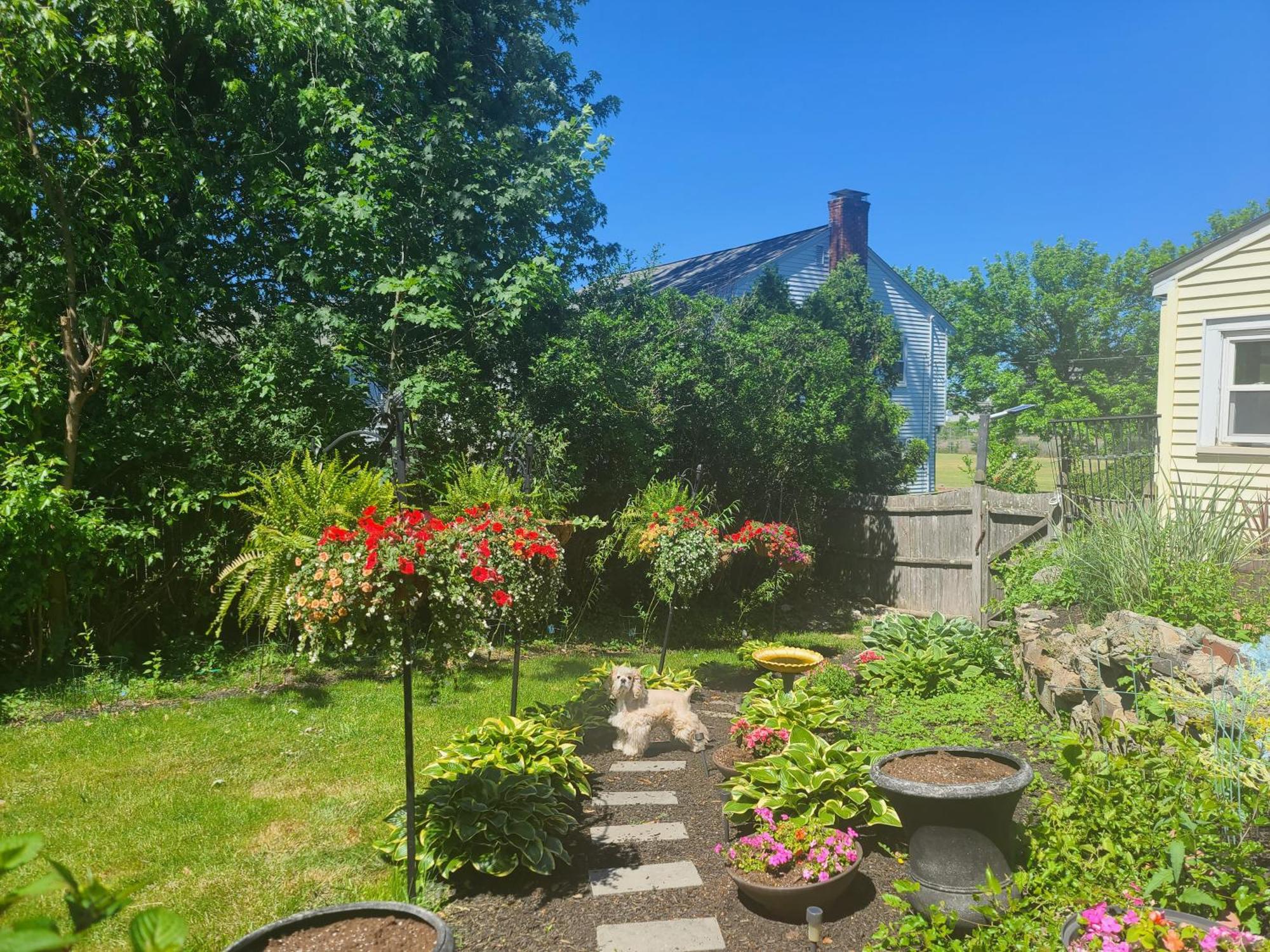Ferienwohnung Park View South Of Boston - Quincy Exterior foto